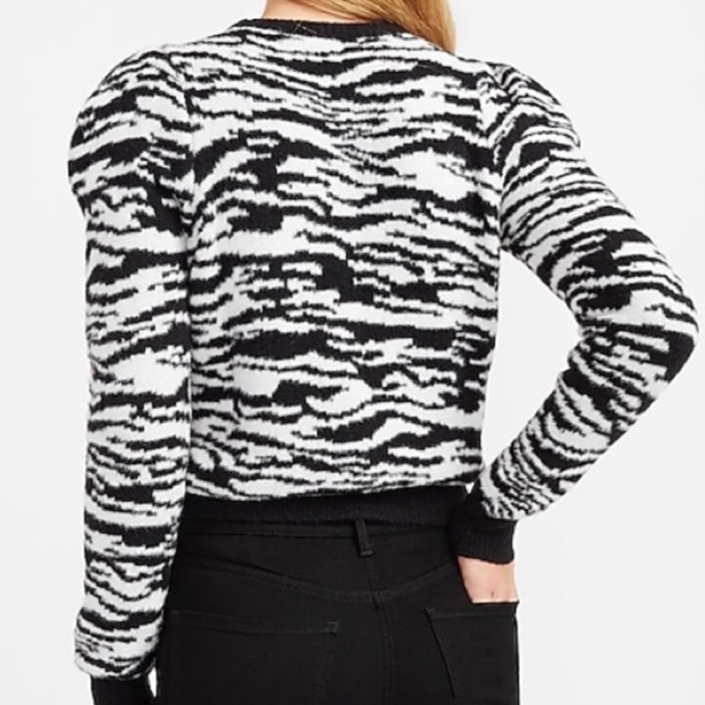 Express Zebra Stripe Puff Shoulder Sweater - Picture 2 of 4